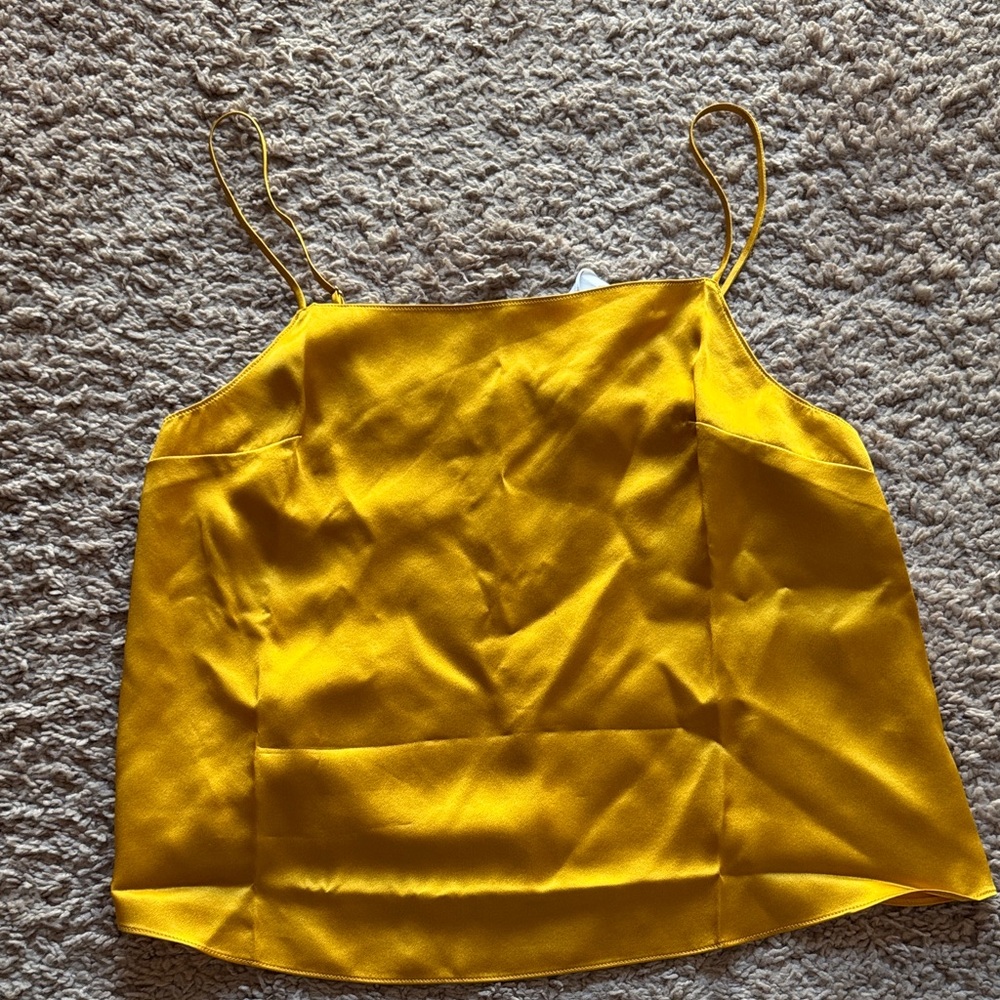 NWT Dannijo top